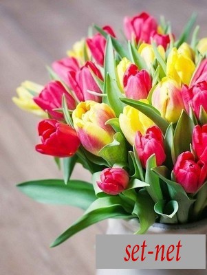 Алеся, 34 года