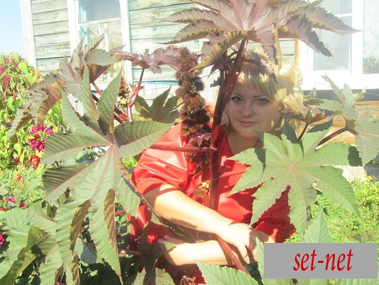 Елена, 44 года