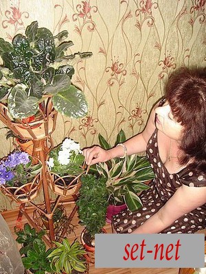 Елена, 59 лет