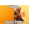 Евгения, 39 лет