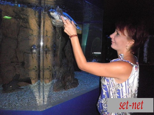 Галина, 46 лет