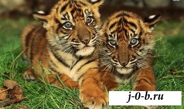 Людмила, 61 год