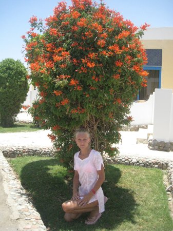 Маргарита, 44 года