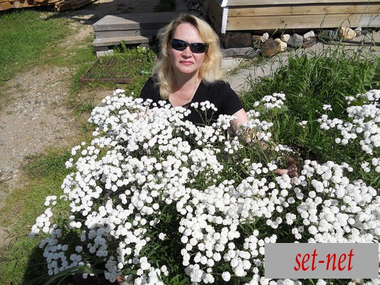 Светлана, 55 лет