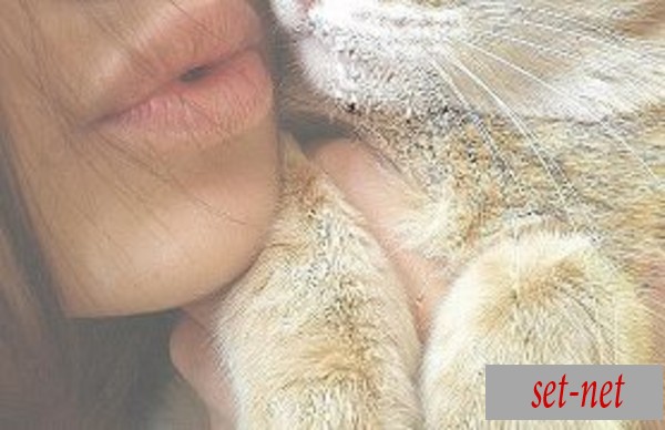 настюха, 29 лет