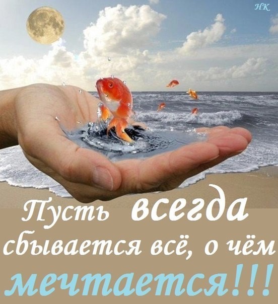 твой друг, 43 года